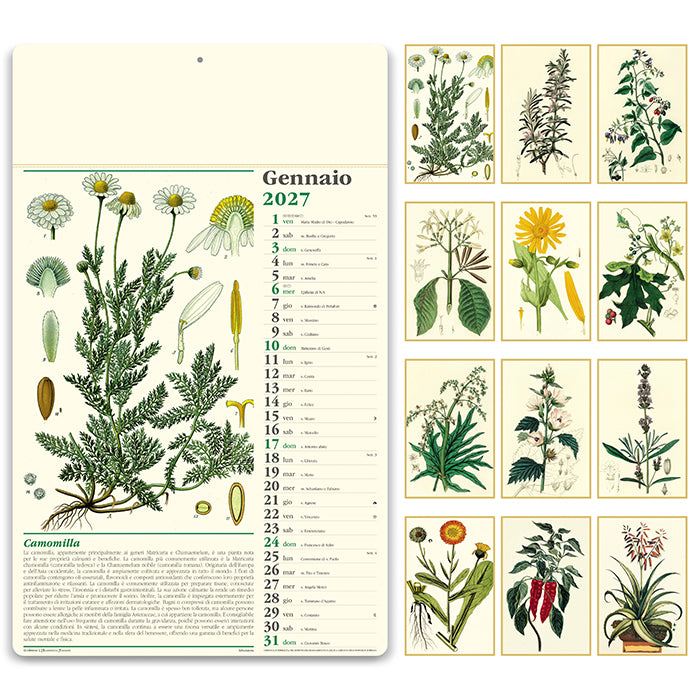 ERBORISTERIA PA011 - calendario