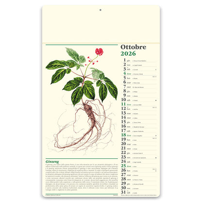 Erboristeria PA011