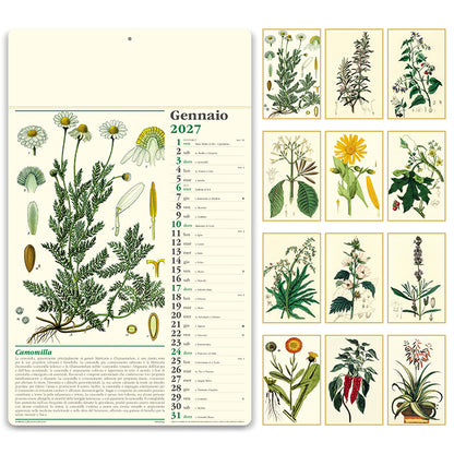 Erboristeria PA011